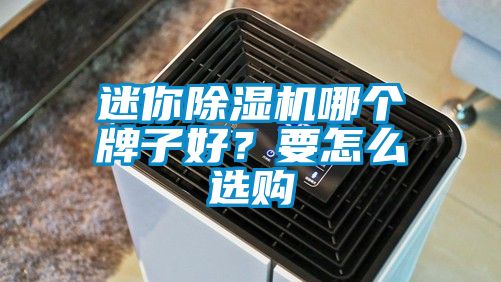 迷你除濕機哪個牌子好？要怎么選購