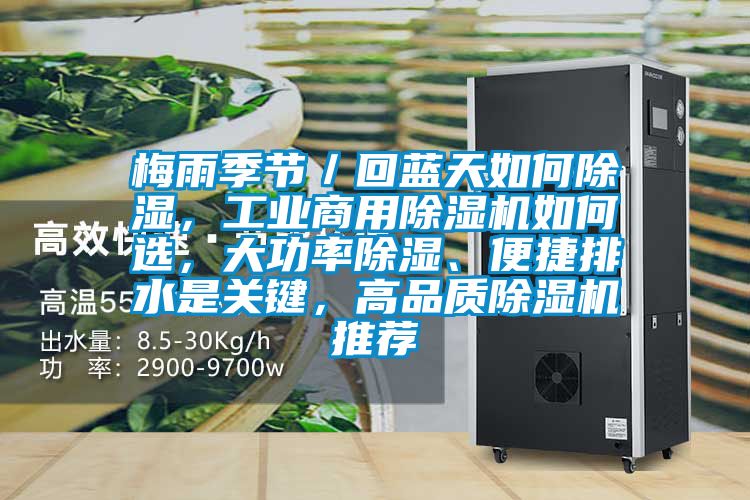 梅雨季節／回藍天如何除濕，工業商用除濕機如何選，大功率除濕、便捷排水是關鍵，高品質除濕機推薦