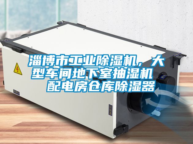 淄博市工業除濕機，大型車間地下室抽濕機  配電房倉庫除濕器