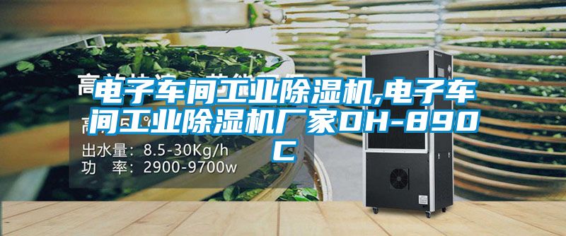 電子車間工業除濕機,電子車間工業除濕機廠家DH-890C