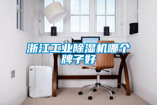 浙江工業除濕機哪個牌子好