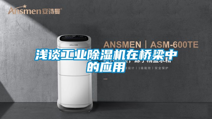 淺談工業除濕機在橋梁中的應用