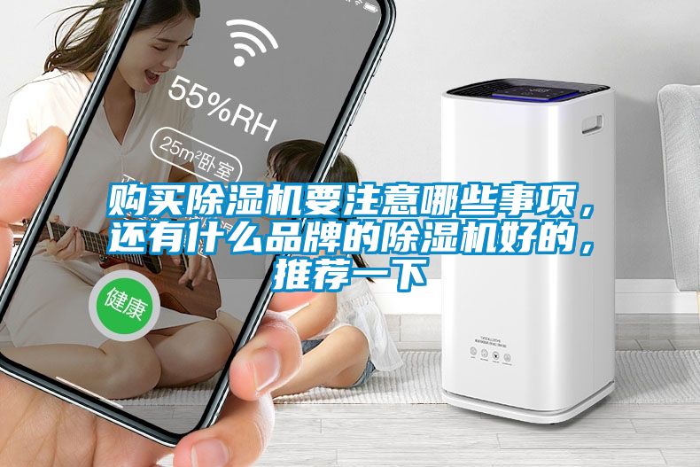 購(gòu)買除濕機(jī)要注意哪些事項(xiàng)，還有什么品牌的除濕機(jī)好的，推薦一下