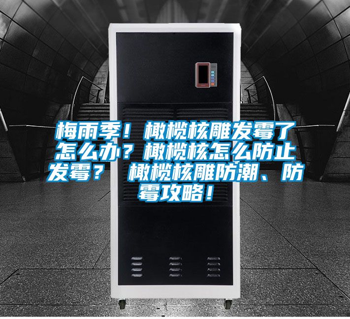 梅雨季！橄欖核雕發霉了怎么辦？橄欖核怎么防止發霉？ 橄欖核雕防潮、防霉攻略！