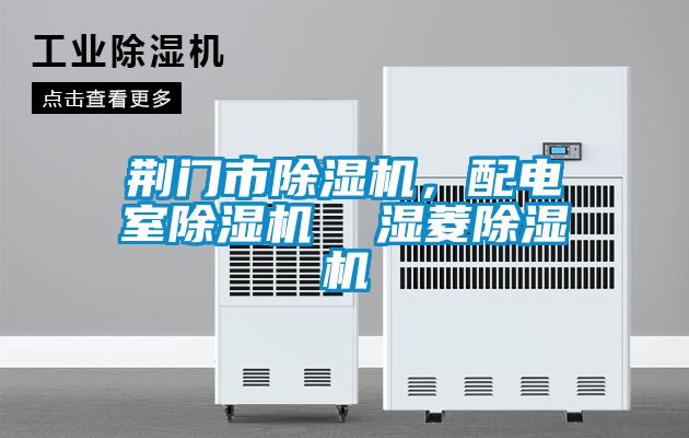 荊門市除濕機(jī)，配電室除濕機(jī)  濕菱除濕機(jī)