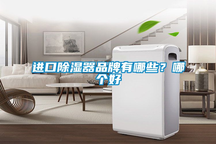 進口除濕器品牌有哪些？哪個好