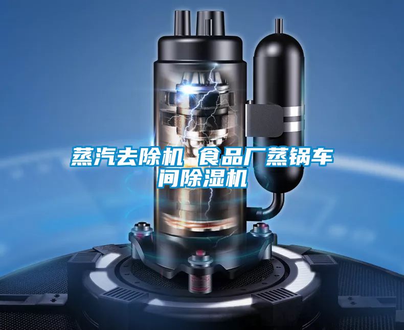 蒸汽去除機 食品廠蒸鍋車間除濕機