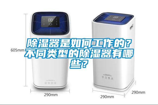 除濕器是如何工作的？不同類型的除濕器有哪些？