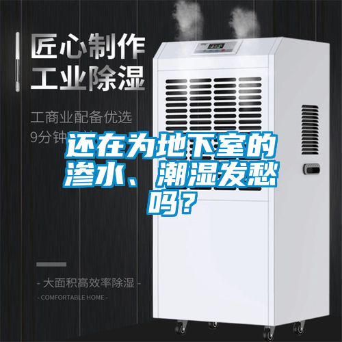 還在為地下室的滲水、潮濕發愁嗎？