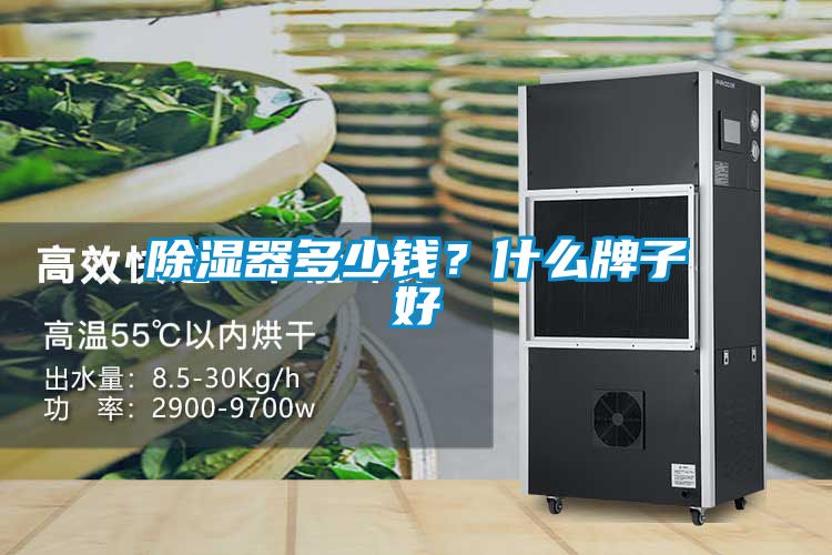除濕器多少錢？什么牌子好