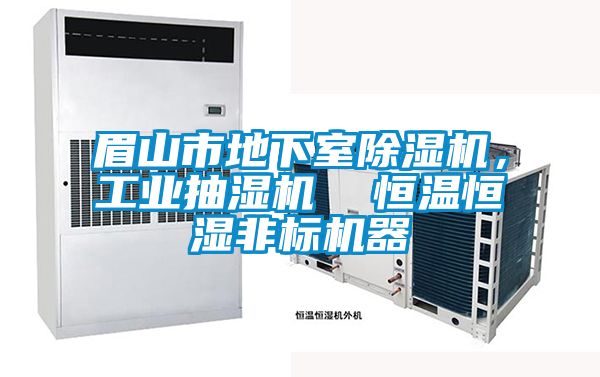 眉山市地下室除濕機(jī)，工業(yè)抽濕機(jī)  恒溫恒濕非標(biāo)機(jī)器