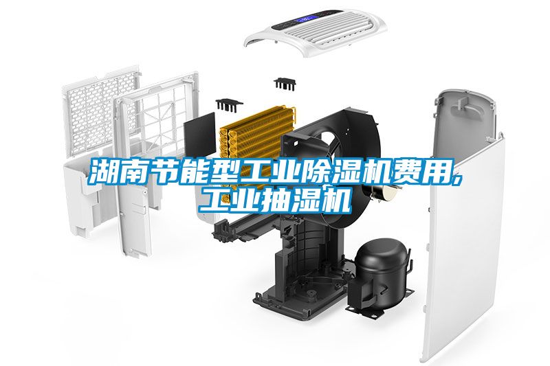 湖南節能型工業除濕機費用,工業抽濕機