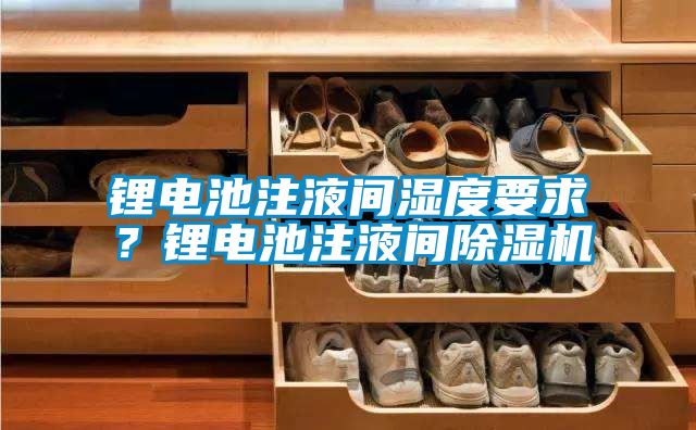 鋰電池注液間濕度要求？鋰電池注液間除濕機