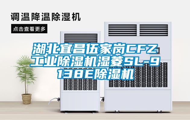湖北宜昌伍家崗CFZ工業除濕機濕菱SL-9138E除濕機