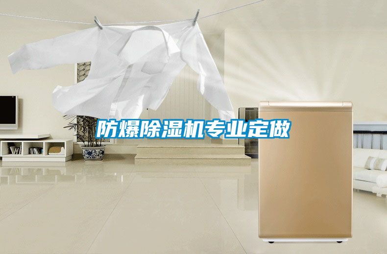 防爆除濕機專業(yè)定做