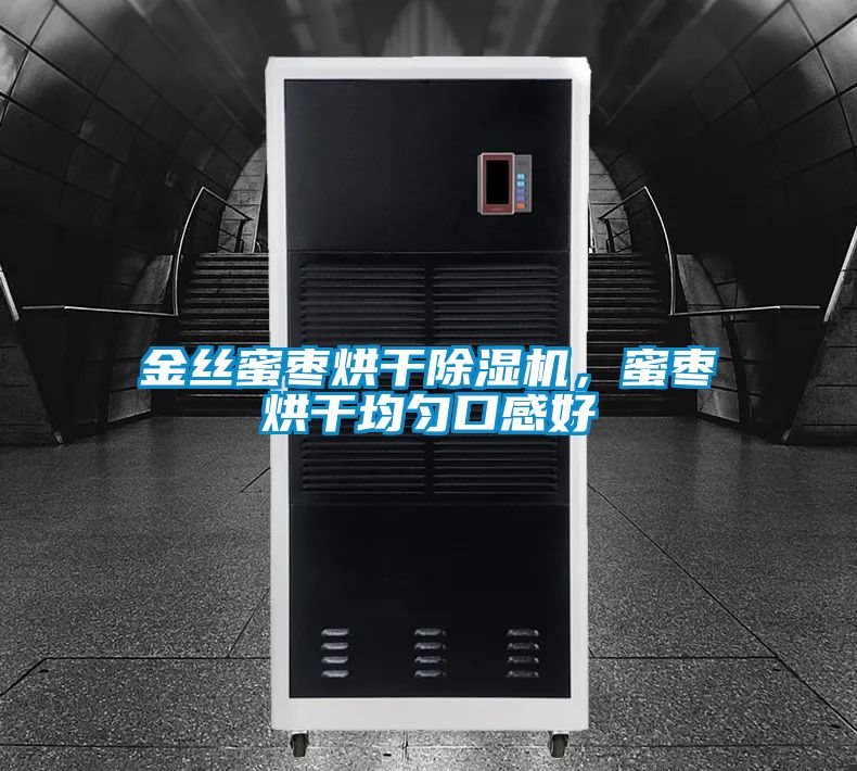 金絲蜜棗烘干除濕機，蜜棗烘干均勻口感好