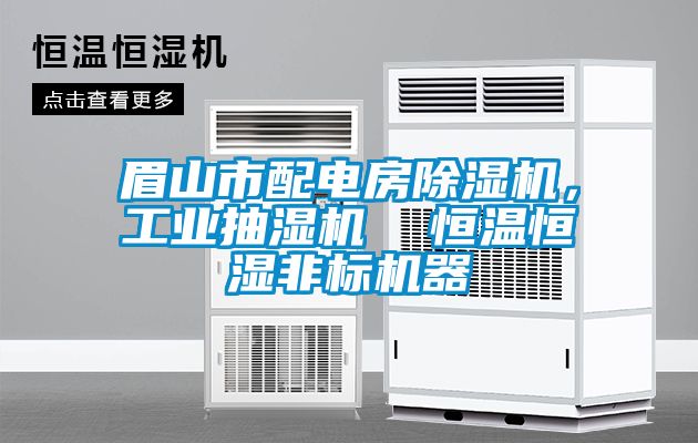 眉山市配電房除濕機,工業抽濕機 恒溫恒濕非標機器