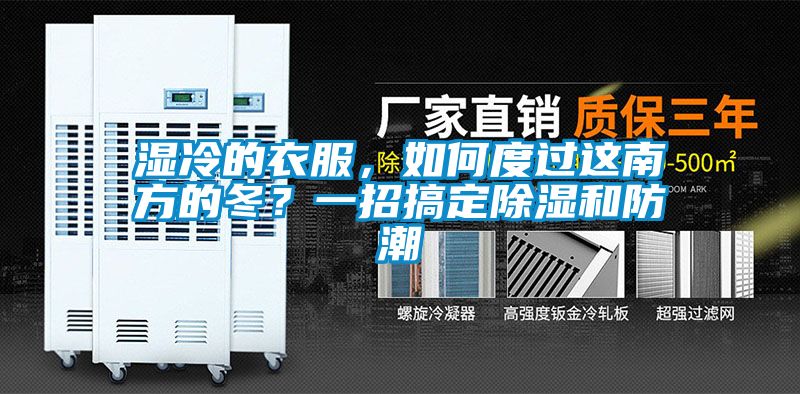 濕冷的衣服，如何度過這南方的冬？一招搞定除濕和防潮