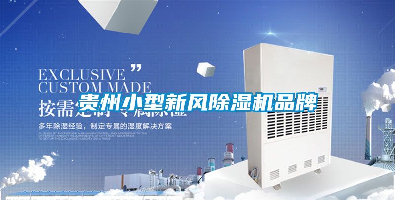貴州小型新風(fēng)除濕機(jī)品牌