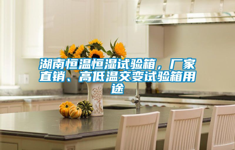 湖南恒溫恒濕試驗(yàn)箱，廠家直銷(xiāo)、高低溫交變?cè)囼?yàn)箱用途