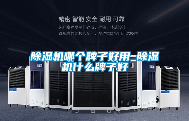 除濕機哪個牌子好用_除濕機什么牌子好
