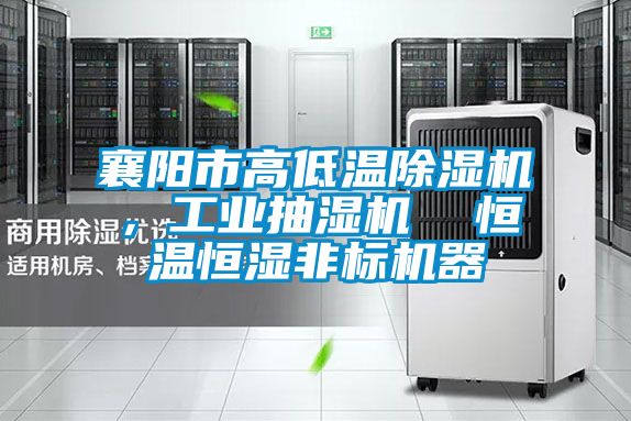 襄陽市高低溫除濕機，工業抽濕機  恒溫恒濕非標機器