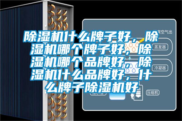 除濕機(jī)什么牌子好，除濕機(jī)哪個牌子好，除濕機(jī)哪個品牌好，除濕機(jī)什么品牌好，什么牌子除濕機(jī)好