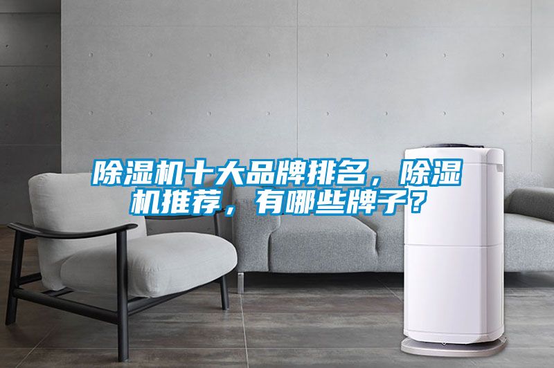 除濕機十大品牌排名，除濕機推薦，有哪些牌子？
