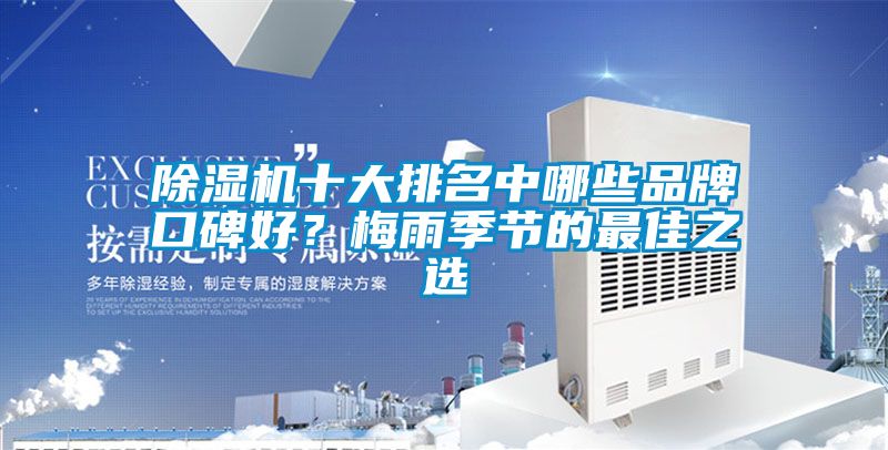 除濕機十大排名中哪些品牌口碑好？梅雨季節的最佳之選