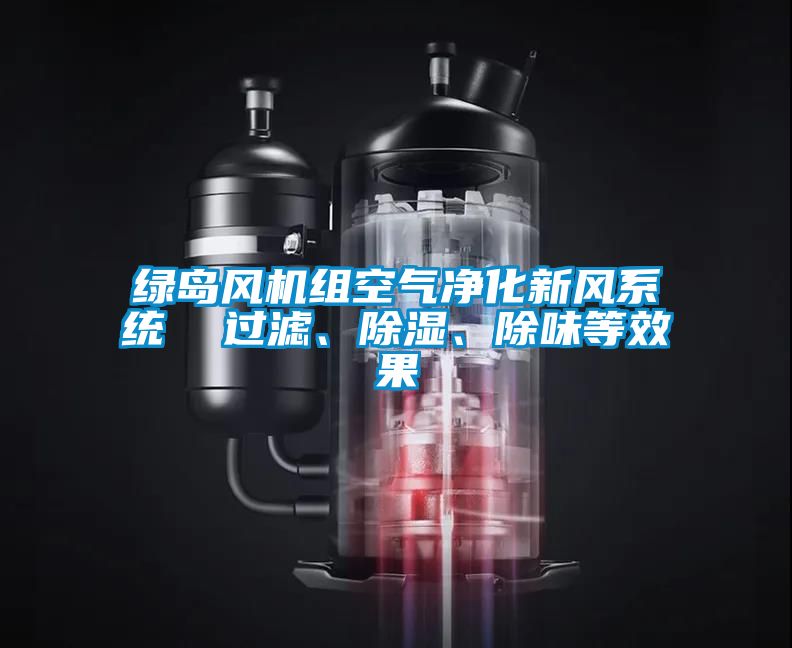 綠島風(fēng)機組空氣凈化新風(fēng)系統(tǒng)  過濾、除濕、除味等效果