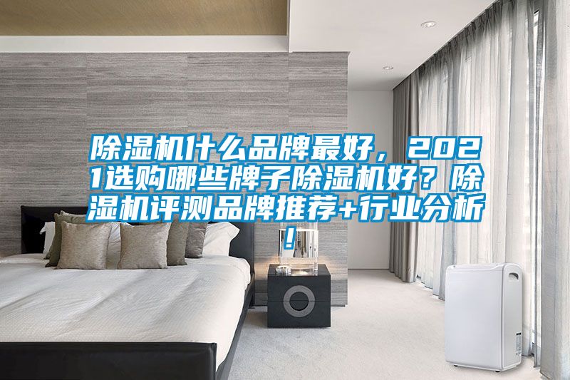 除濕機什么品牌最好，2021選購哪些牌子除濕機好？除濕機評測品牌推薦+行業分析！