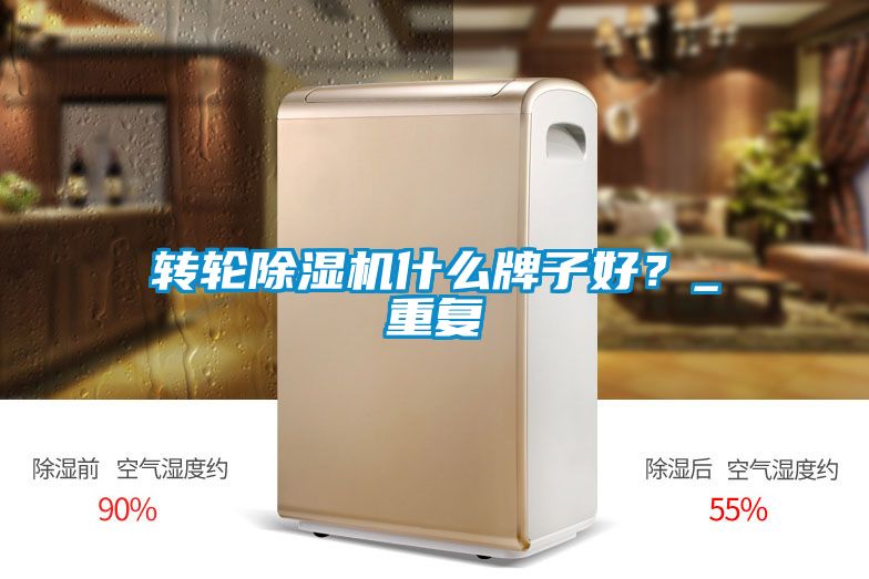 轉(zhuǎn)輪除濕機什么牌子好？_重復