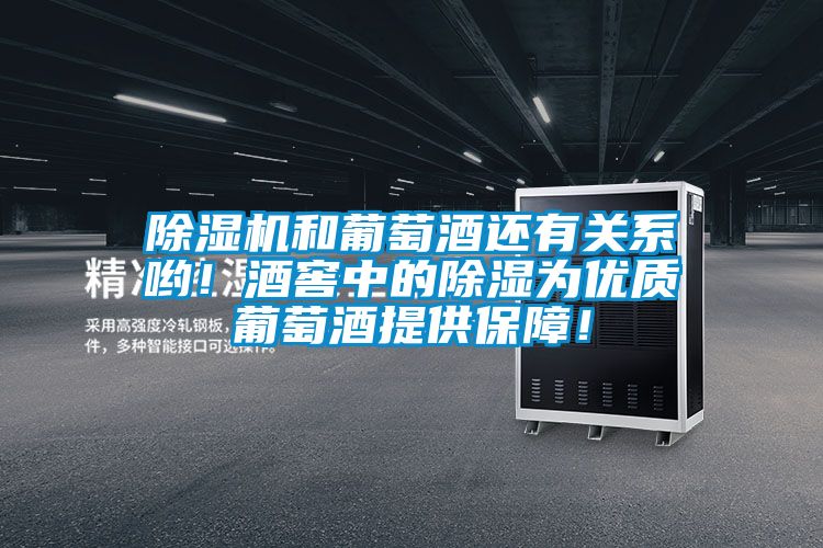 除濕機和葡萄酒還有關系喲！酒窖中的除濕為優質葡萄酒提供保障！
