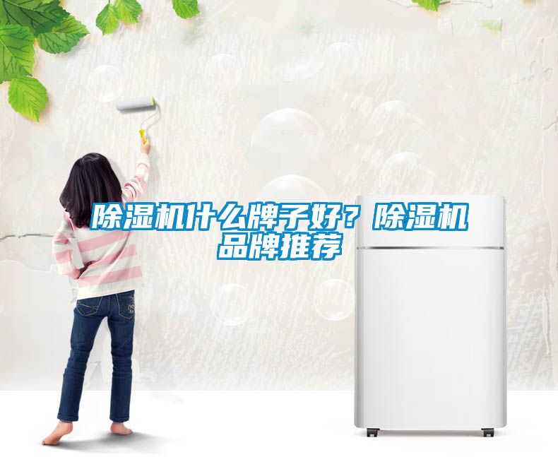 除濕機什么牌子好？除濕機品牌推薦