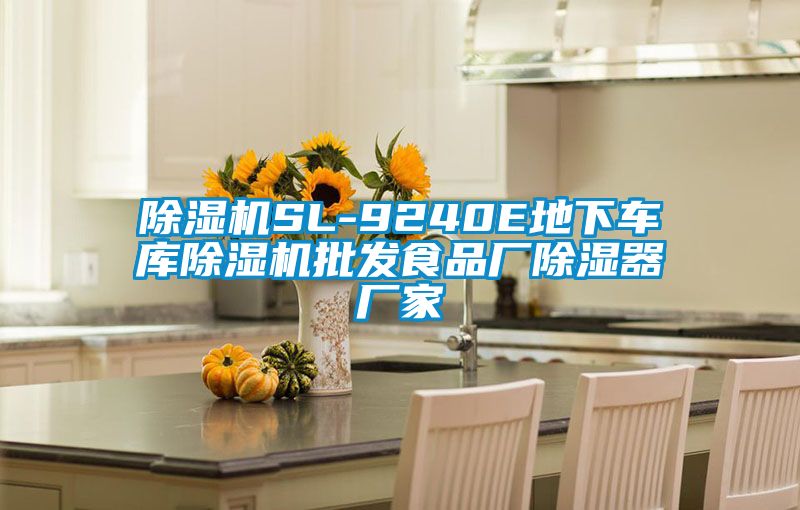 除濕機SL-9240E地下車庫除濕機批發食品廠除濕器廠家