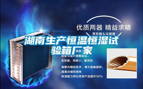 湖南生產恒溫恒濕試驗箱廠家