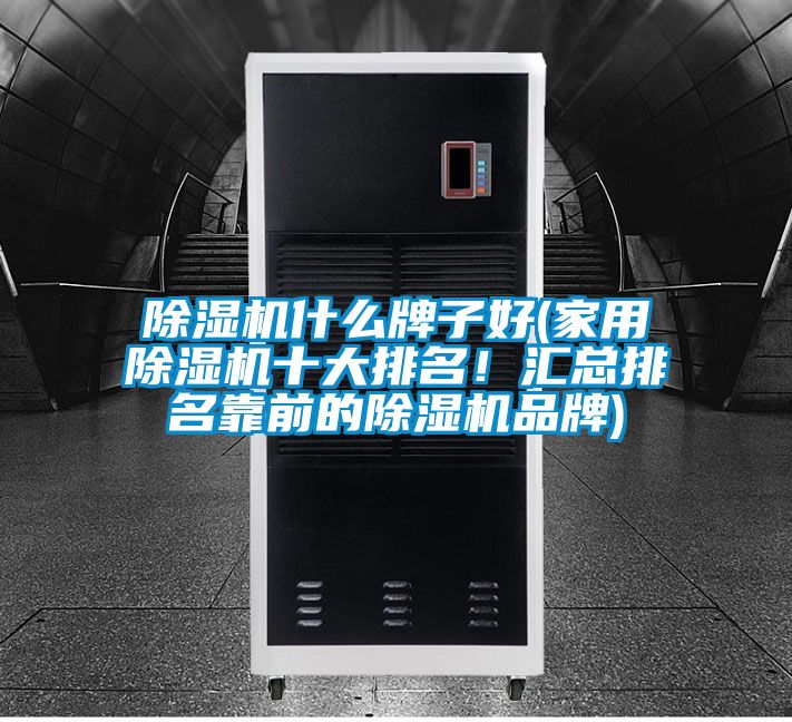 除濕機什么牌子好(家用除濕機十大排名！匯總排名靠前的除濕機品牌)