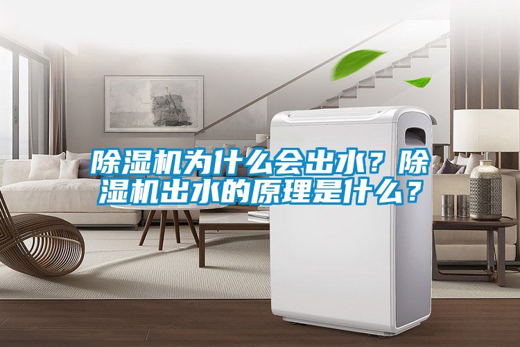 除濕機(jī)為什么會(huì)出水？除濕機(jī)出水的原理是什么？