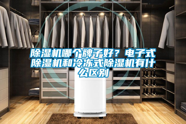 除濕機哪個牌子好？電子式除濕機和冷凍式除濕機有什么區別