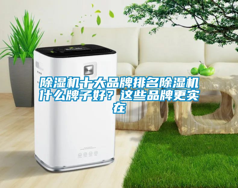 除濕機(jī)十大品牌排名除濕機(jī)什么牌子好？這些品牌更實(shí)在