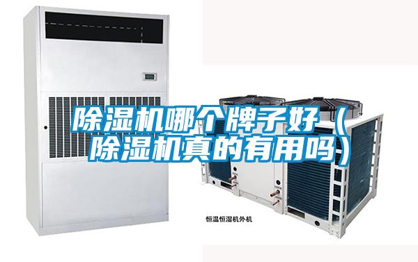 除濕機(jī)哪個牌子好（ 除濕機(jī)真的有用嗎）