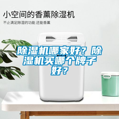除濕機(jī)哪家好？除濕機(jī)買哪個(gè)牌子好？