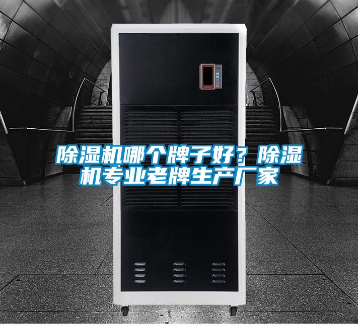 除濕機哪個牌子好？除濕機專業老牌生產廠家