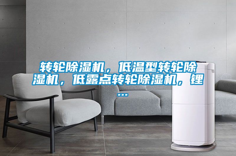 轉(zhuǎn)輪除濕機(jī)，低溫型轉(zhuǎn)輪除濕機(jī)，低露點(diǎn)轉(zhuǎn)輪除濕機(jī)，鋰 ...