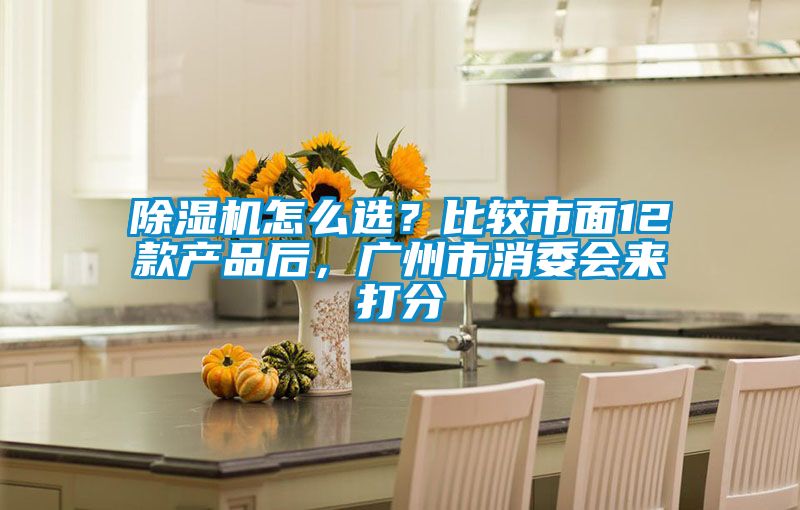 除濕機怎么選？比較市面12款產品后，廣州市消委會來打分