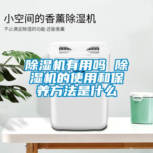 除濕機有用嗎 除濕機的使用和保養方法是什么
