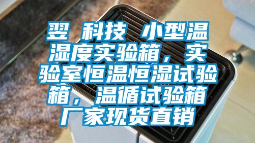 翌昇科技 小型溫濕度實驗箱，實驗室恒溫恒濕試驗箱，溫循試驗箱廠家現貨直銷