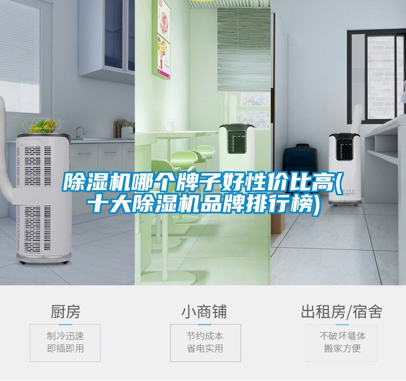 除濕機(jī)哪個(gè)牌子好性?xún)r(jià)比高(十大除濕機(jī)品牌排行榜)