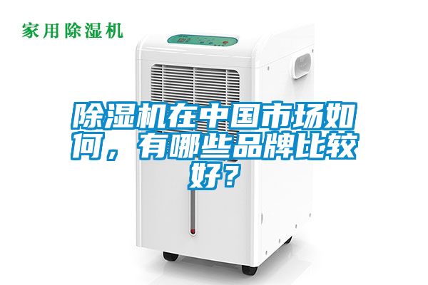 除濕機在中國市場如何，有哪些品牌比較好？