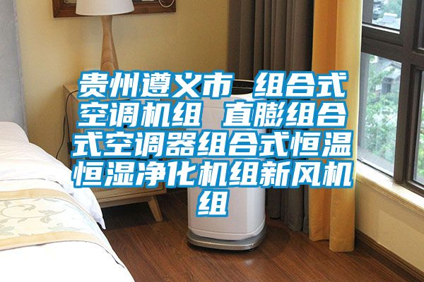 貴州遵義市 組合式空調機組 直膨組合式空調器組合式恒溫恒濕凈化機組新風機組